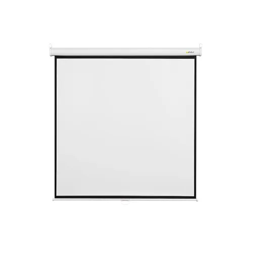 Экран Digis Optimal-B формат 4:3 (200*150)  (MW) DSOB-4303