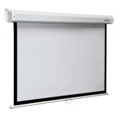 Экран Digis Space формат 4:3 (400*300)  (MW) DSSM-4309
