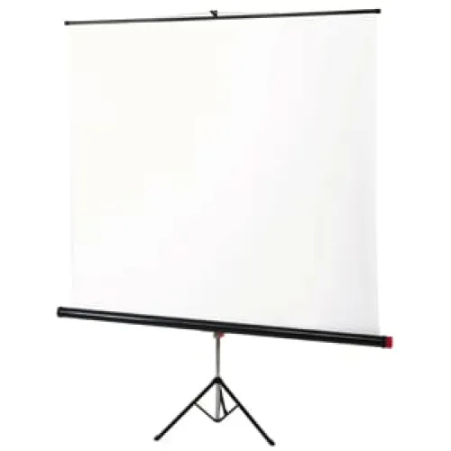 Экран на штативе 125х125 cм Braun Standard