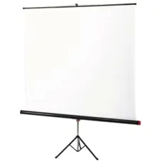 Экран на штативе 220х220 cм Braun Standard
