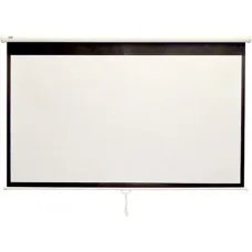 Экран настенный Classic Norma (16:9) 251x147 (W 243x137/9 MW-S0/W)