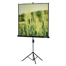Экран на штативе Lumien Master View LMV-100101 (1:1) 127x127 (121х121, MW)