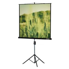 Экран на штативе Lumien Master View LMV-100102 (1:1) 153x153 (147х147, MW)