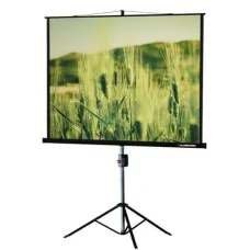 Экран на штативе Lumien Master View LMV-100109 (1:1) 203x203 (195х195, MW)