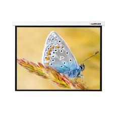 Экран с электроприводом Lumien Master Control LMC-100109 (4:3) 244x183 (236х175, MW)