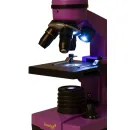 Оптический микроскоп Levenhuk Rainbow 2L Amethyst\Аметист