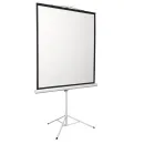 Экран на штативе Digis Kontur-D DSKD-1105