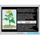 Интерактивные наглядные пособия. Естествознание Новый диск
