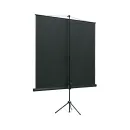 Экран на штативе Lumien Eco View LEV-100102 (1:1) 180x180 (180х180, MW)