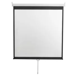 Экран настенный Digis DSOD-1108 Optimal-D (1:1) 308x309 (300x300, MW)
