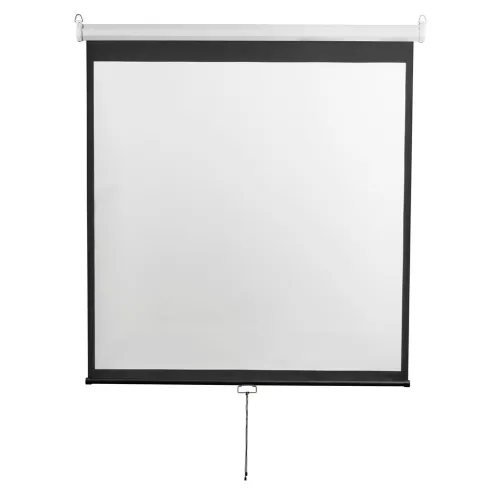Экран настенный Digis DSOD-1108 Optimal-D (1:1) 308x309 (300x300, MW)