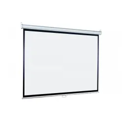 Экран настенный Lumien Eco Picture LEP-100114 (4:3) 244х183 (236х175, MW)