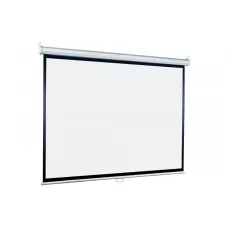 Экран настенный Lumien Eco Picture LEP-100115 (4:3) 274х206 (266х198, MW)