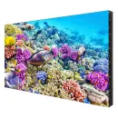 Профессиональная панель EliteBoard BK557FFLE