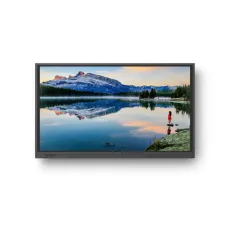 Интерактивная LED панель Newline TruTouch TT-8619RS