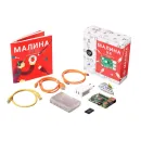 Образовательный набор Малина v4 (4 ГБ) AMP-S056