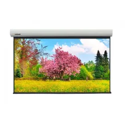 Экран с электроприводом Lumien Master Large Control LMLC-100112A (4:3) 467x360 (457х343, MW FG)