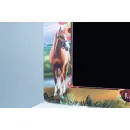 АЛМА Региональный компонент Казаки 25"