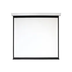 Экран с электроприводом Digis DSEF-1103 Electra-F (1:1) 156x159 (150x150, MW)