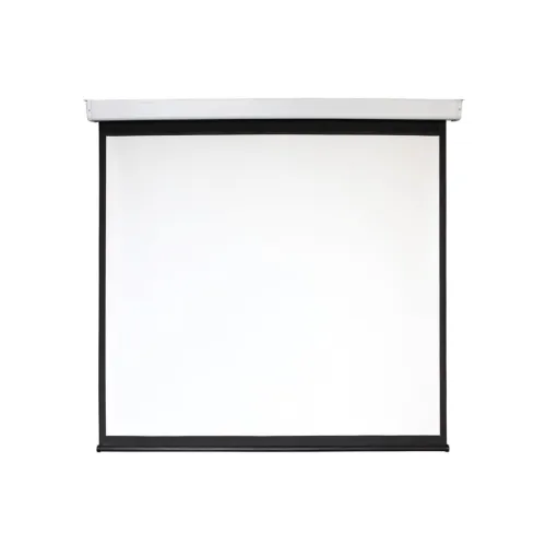 Экран с электроприводом Digis DSEF-1103 Electra-F (1:1) 156x159 (150x150, MW)