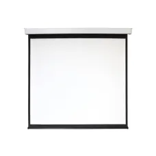Экран с электроприводом Digis DSEF-1110 Electra-F (1:1) 308x311 (300x300, MW)
