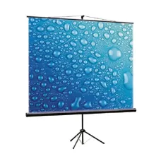 Экран на штативе ViewScreen Clamp TCL-4301 (4:3) 171x128 (165x122, MW)