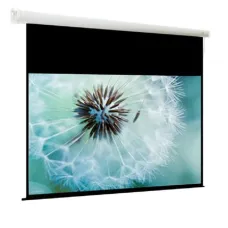Экран с электроприводом ViewScreen Breston EBR-16909 (16:9) 220x163 (212x119, MW)
