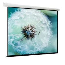 Экран с электроприводом ViewScreen Breston EBR-4303 (4:3) 203x153 (195x145, MW)