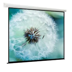 Экран с электроприводом ViewScreen Breston EBR-4303 (4:3) 203x153 (195x145, MW)