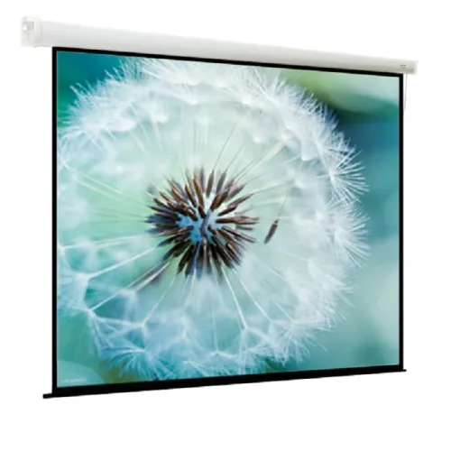 Экран с электроприводом ViewScreen Breston EBR-4303 (4:3) 203x153 (195x145, MW)