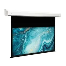 Экран с электроприводом ViewScreen Plato EPL-16905 (16:9) 244x163 (234x132, MW)