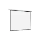 Экран настенный ViewScreen Lotus WLO-1105 (1:1) 213x213 (205x205, MW)