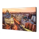 Профессиональная панель Samsung VH55T-E