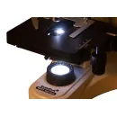 Цифровой микроскоп Levenhuk MED D10T LCD