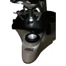 Микроскоп цифровой Levenhuk MED D25T