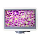 Цифровой микроскоп Levenhuk D85L LCD