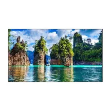Профессиональная панель Vestel WW55B-2H