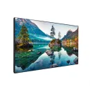 Профессиональная панель Vestel WU49B-2H 49"