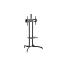 Интерактивная панель DonView DS-65IWMS-L05PA + мобильная стойка FIX T1028B