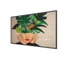 Профессиональная панель Philips 55BDL4511D/00