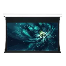 Экран с электроприводом ViewScreen Premium LF-MC123 (16:10) (AACW) 310x215 (264x165 PS WW5)