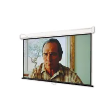 Экран настенный Draper Luma 2 HDTV (16:9) 305x175 (295x165, XH800E HCG)