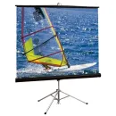 Экран на штативе Draper Diplomat NTSC (4:3) 183/72" (6') (144x108, XT1000E MW)
