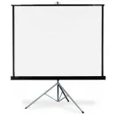 Экран на штативе Draper Diplomat/R AV (1:1) 70/70" (178x178, XT1000E MW)