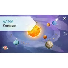 Программное обеспечение АЛМА "Космик"