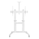 Мобильная напольная стойка Digis DSM-P7106C для размера 55-100"