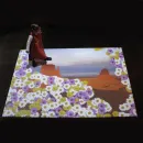 Интерактивный пол Interactive Project (ПО, компьютер, проектор 3800лм, металлический корпус)