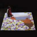Интерактивный пол Interactive Project (ПО, компьютер)