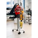 Комплект для изучения робототехники Promobot Rooky