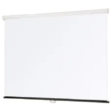 Экран настенный Draper Star AV (1:1) 70/70" (178x178, XT1000E MW)